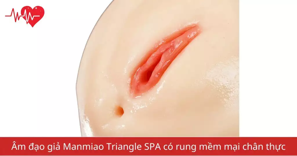 Âm đạo giả Manmiao Triangle SPA có rung mềm mại…